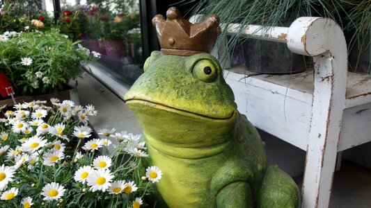 Prince frog prince fairytale character