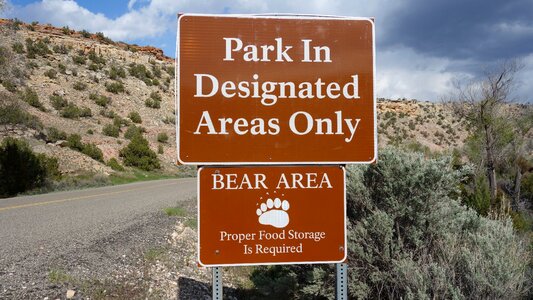 Bears area united states usa