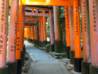 Kyoto temples buddhism photo