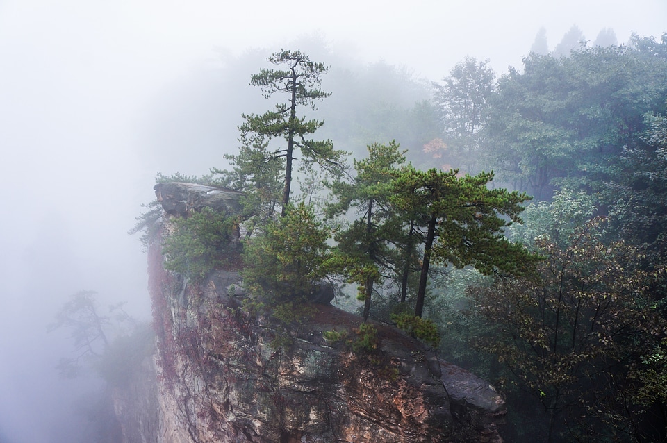 China zhangjiajie national park fog
