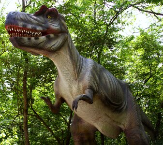 Tyrannosaurus rex simulation dinosaur photo