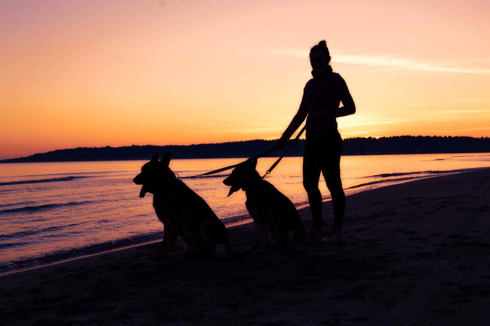 Silhouette seascape sunset