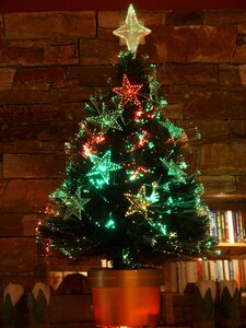 Tree christmas time light photo