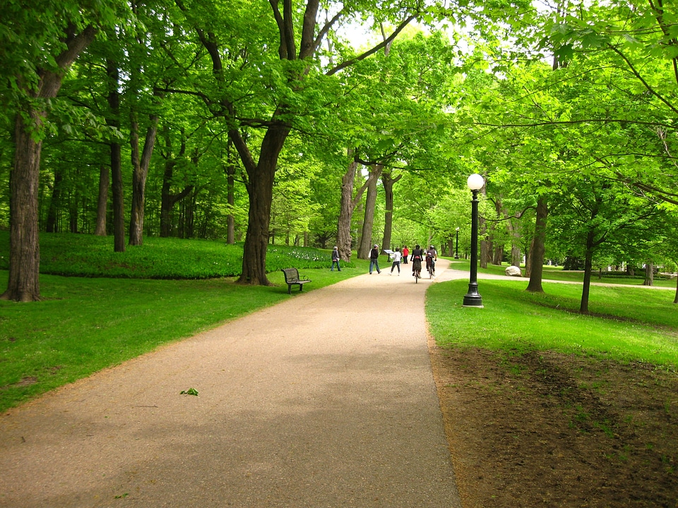Pathway walkway walking path
