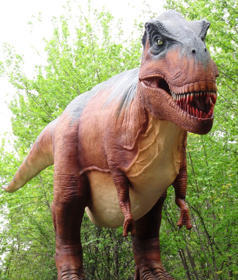 Tyrannosaurus rex dinosaur giant dinosaur
