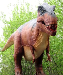 Tyrannosaurus rex dinosaur giant dinosaur photo