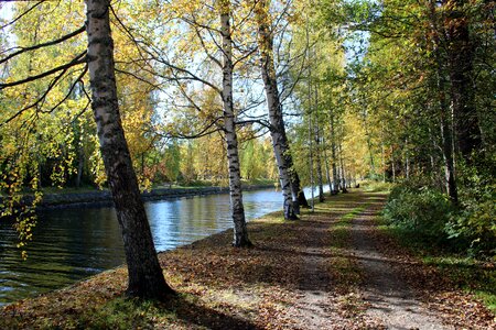 Asikkala the path october photo