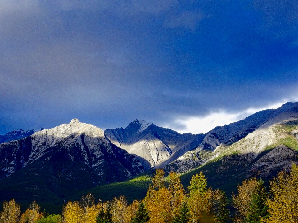Forest rockies canada