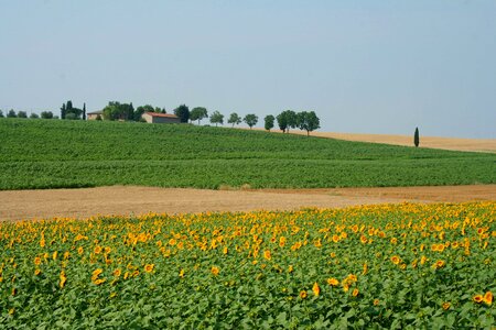 Italy meadow field