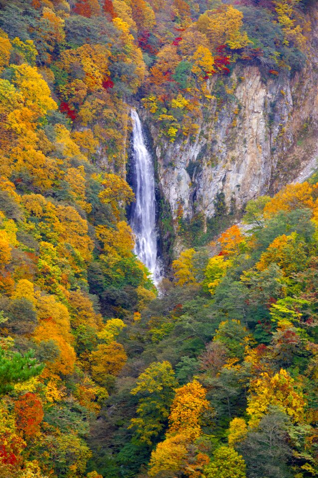 Valley autumn landscape