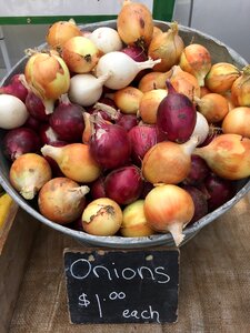 Purple onions ingredient cooking