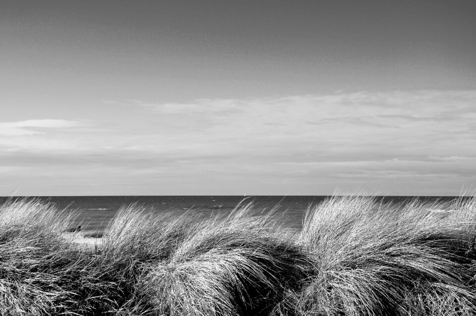 Sun beach sea dunes