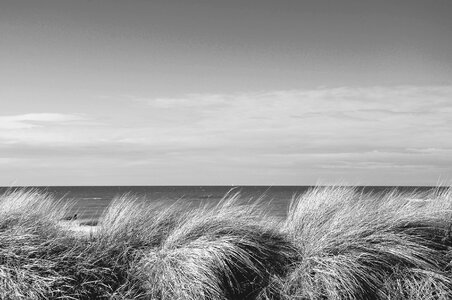 Sun beach sea dunes
