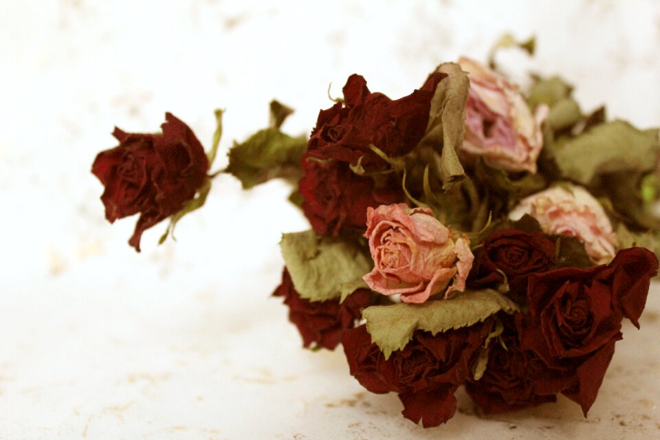 Vintage background romance
