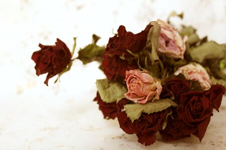 Vintage background romance
