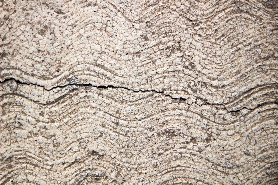 Cement concrete wall grunge