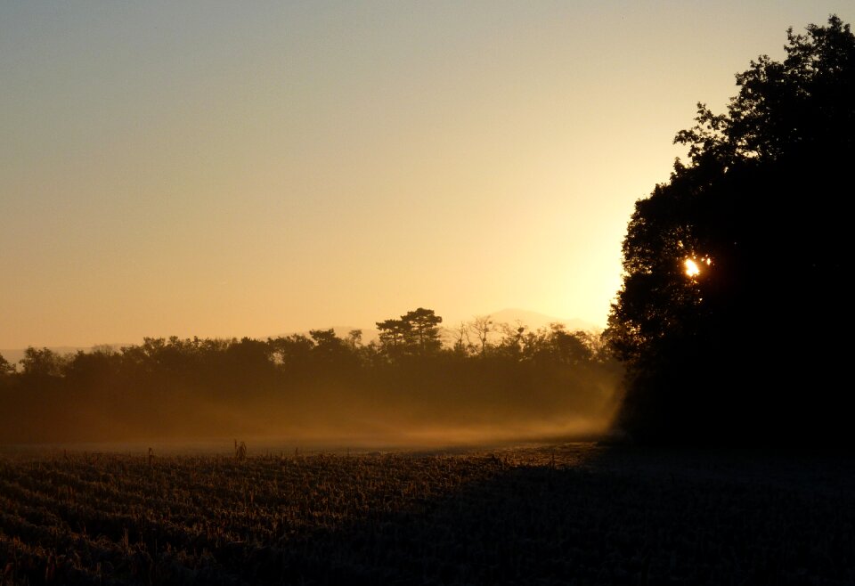 Light corn sky