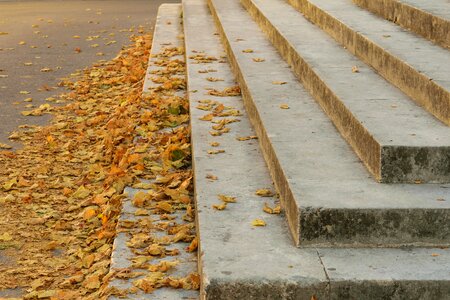 Fall architecture staircase