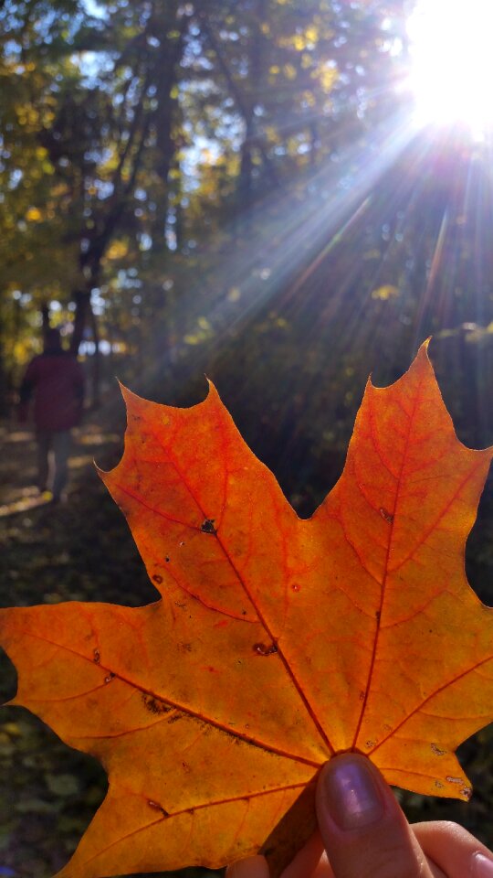 Glamour autumn colors sunshine