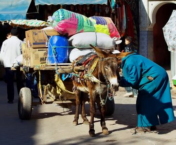 Cart transport loading photo