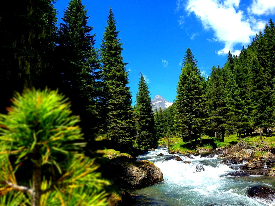 Debanttal tyrol nature