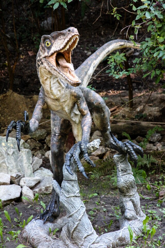 Velociraptor dinopark lizard
