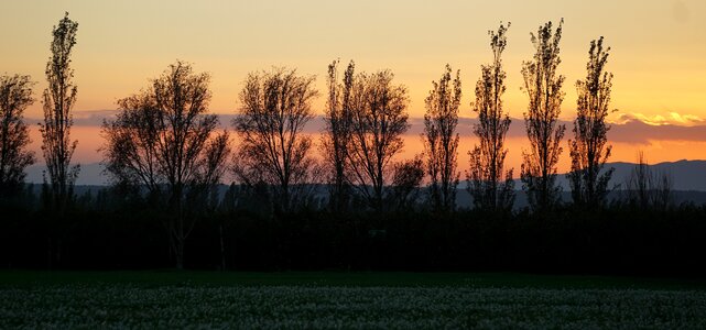 Sunset autumn autumn mood