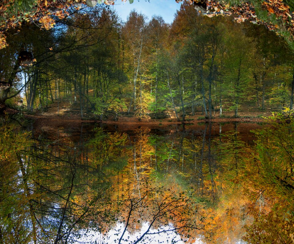 Waterfall november leaves