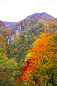 Valley autumn landscape