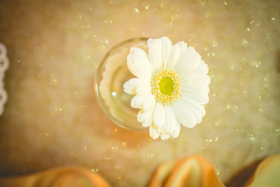 Flower wedding white