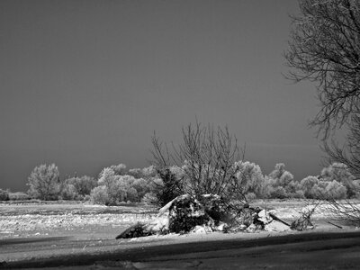 Ice floes river landscape wintry photo