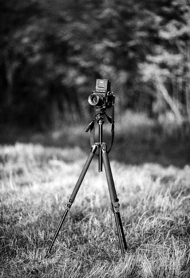 Photography photo field