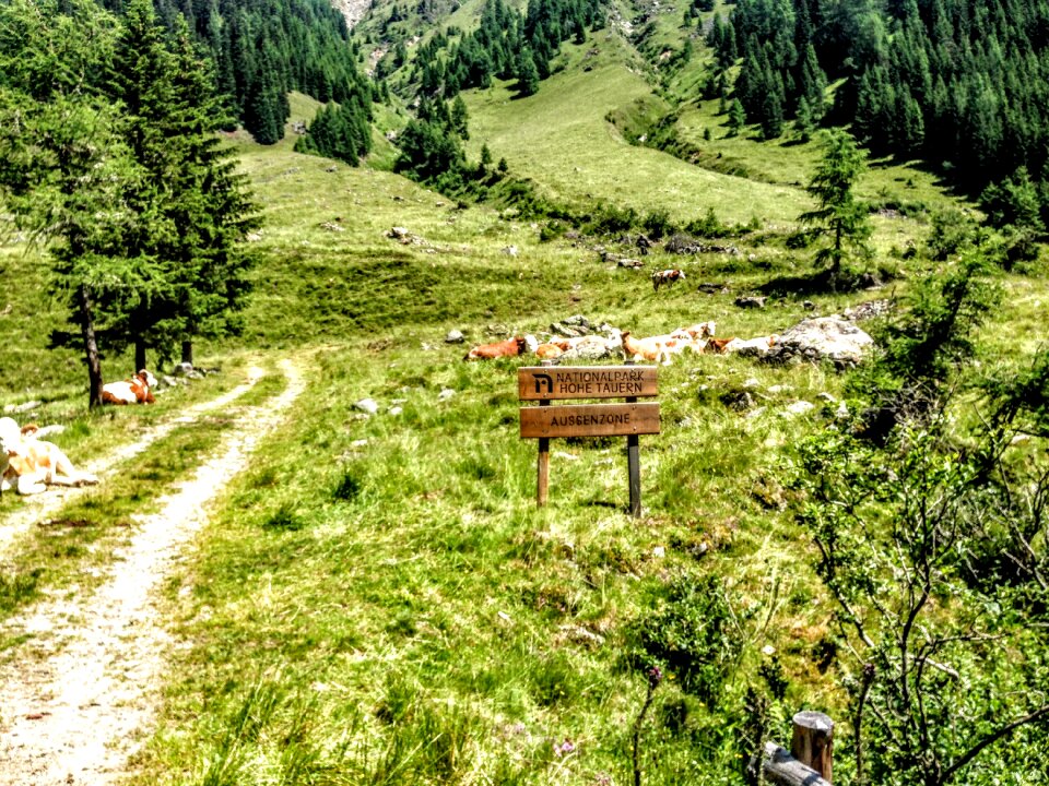 Debanttal tyrol nature