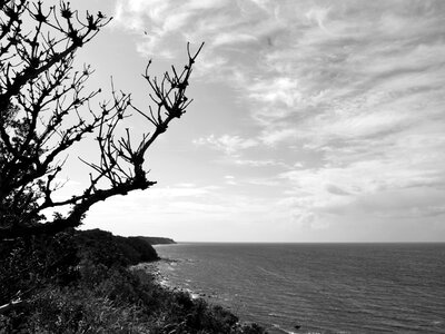 Sea baltic sea coast