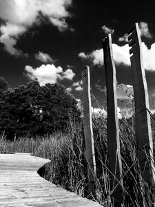 Nature silent view