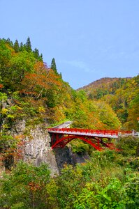 Valley autumn nagano photo