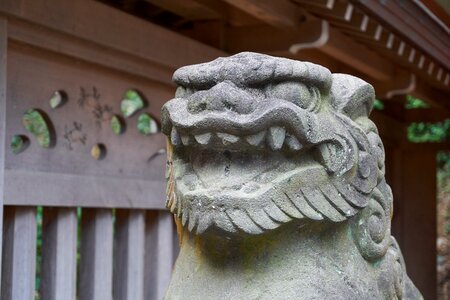 Guardian dogs shrine japan