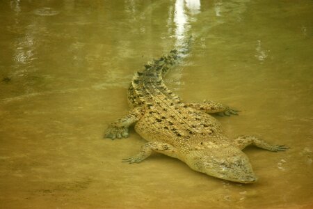 Water underwater australia