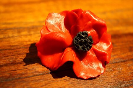 Clay brooch remembrance photo