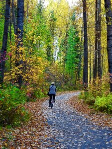 Trail biking