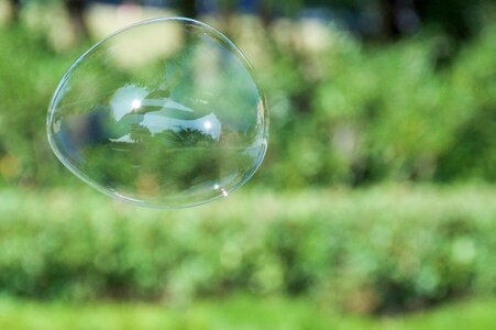 Bubble green afternoon