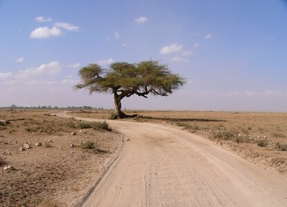 Away africa landscape
