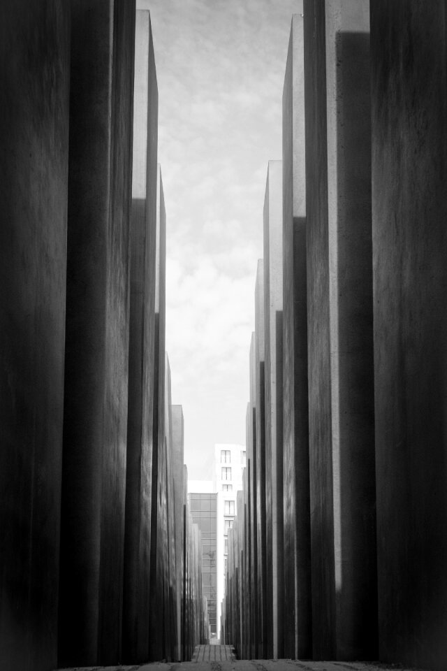 Holocaust capital grey