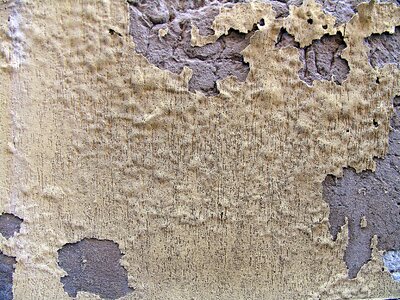Texture concrete stone photo