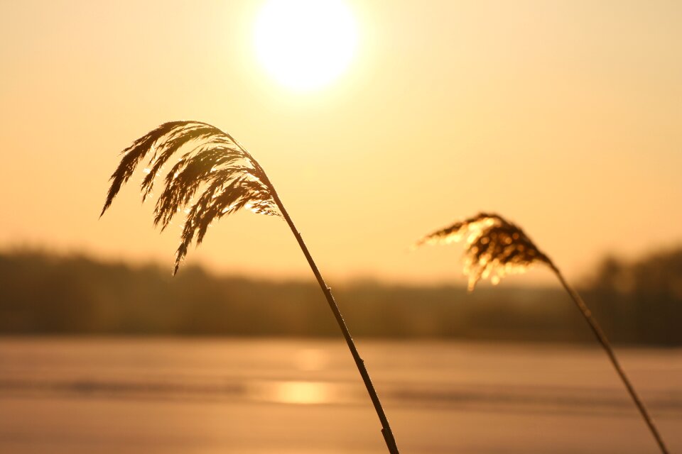 Sunrise solar winter