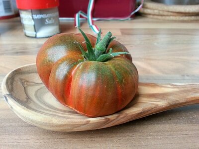 Vegetable grow growing
