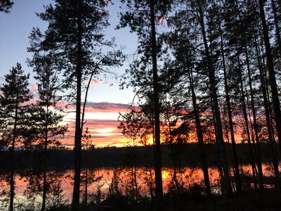 Evening sky trees evening red