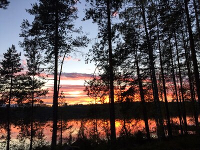 Evening sky trees evening red photo