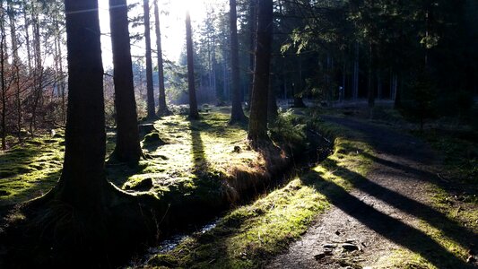 Hiking altenau bach