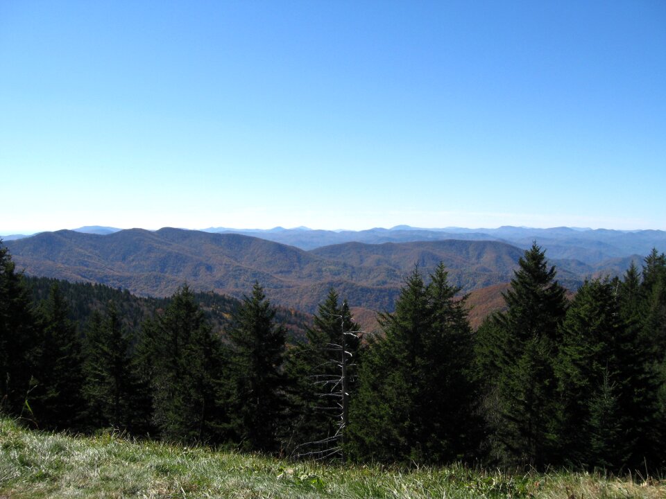 Fall landscape evergreen